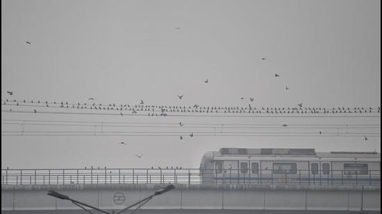The application by DAMEPL was filed in response to an affidavit by DMRC filed on January 5, in which Metro made a partial/ limited disclosure of its bank accounts with respect to ₹1,642.69 crore out of the total funds of ₹5,800.93 crore that it had disclosed in the court through its last affidavit filed on December 21, 2021. (ANI)