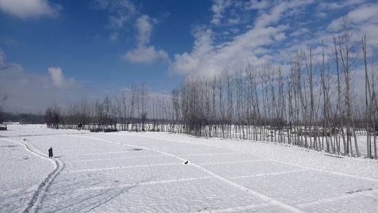 The minimum temperature in Kupwara in north Kashmir settled at a low of minus 0.6 degrees Celsius.(HT Photo/Waseem Andrabi )