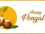 Happy Pongal 2022: Best wishes, images, messages and greetings to share with loved ones on Pongal