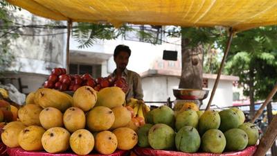 The export of Indian mangoes and pomegranates to the US is in accordance with a recent agreement between India’s Department of Agriculture & Farmers Welfare and the US Department of Agriculture. The export of Indian mangoes and pomegranates to the US is in accordance with a recent agreement between India’s Department of Agriculture & Farmers Welfare and the US Department of Agriculture.