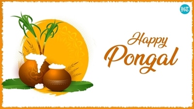 Happy Pongal 2022: Best wishes, images, messages and greetings to share with loved ones on Pongal Happy Pongal 2022: Best wishes, images, messages and greetings to share with loved ones on Pongal