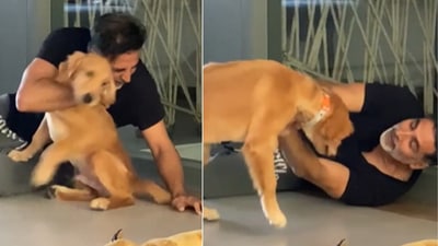 Akshay Kumar cuddles with a dog.