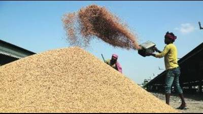 Non-procurement of paddy. (Pic for representation only)