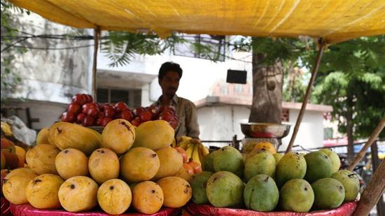 The export of Indian mangoes and pomegranates to the US is in accordance with a recent agreement between India’s Department of Agriculture & Farmers Welfare and the US Department of Agriculture.