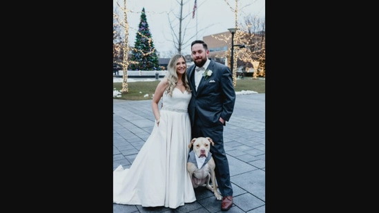 places to try on wedding dresses near me