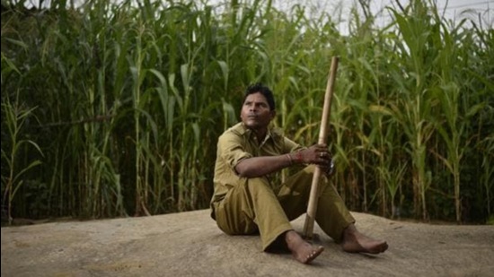 In 2011, when the Supreme Court banned Salwa Judum, a government-sponsored vigilante movement to fight Maoists, most of the state-appointed special police officers (SPOs) were absorbed as assistant constables (sahayak arakshak) in Chhattisgarh. (File Photo/Ravi Choudhary) In 2011, when the Supreme Court banned Salwa Judum, a government-sponsored vigilante movement to fight Maoists, most of the state-appointed special police officers (SPOs) were absorbed as assistant constables (sahayak arakshak) in Chhattisgarh. (File Photo/Ravi Choudhary)