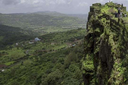 Forests are the biggest terrestrial carbon reservoirs, but become a source of CO2 and other greenhouse gases if they are destroyed.&nbsp;(AFP)
