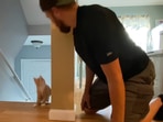 The cute little kitten and its human playing hide and seek. (reddit/@iamtheliquor__) The cute little kitten and its human playing hide and seek. (reddit/@iamtheliquor__)
