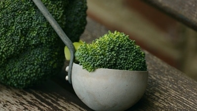 Apart from these fruits, broccoli, guava, sprouts, cauliflower are also recommended as they are packed with Vitamin C and an excellent way to boost immunity. (Pixabay) Apart from these fruits, broccoli, guava, sprouts, cauliflower are also recommended as they are packed with Vitamin C and an excellent way to boost immunity. (Pixabay)