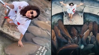 Sunny Leone with sharks in Maldives. Sunny Leone with sharks in Maldives. 