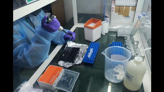 A lab technician uses a single channel pipette dropper during Covid-19 RT PCR testing in a 360 Diagnostic & Health Services Pvt. laboratory in Noida, Uttar Pradesh. (Bloomberg Photo)