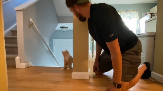 The cute little kitten and its human playing hide and seek. (reddit/@iamtheliquor__) The cute little kitten and its human playing hide and seek. (reddit/@iamtheliquor__)