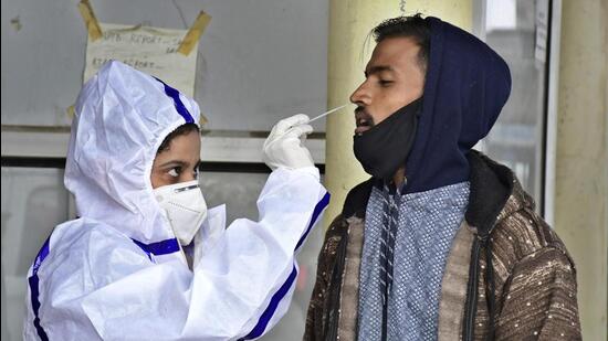 A health worker collects swab samples at Urban Community Health Centre in Ludhiana on Wednesday for Covid testing. (Harsimar Pal Singh//HT)