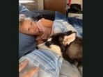 The Husky puppy burying its head next to the little girl after howling to wake her up. (Jukin Media) The Husky puppy burying its head next to the little girl after howling to wake her up. (Jukin Media)