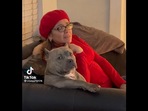 The Pitbull dog glancing at the camera as her grandma and she watch some television. (reddit/@Lost_Instruction_786) The Pitbull dog glancing at the camera as her grandma and she watch some television. (reddit/@Lost_Instruction_786)