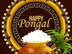 Pongal will be celebrated with great enthusiasm from January 14-17 this year.(Pinterest) Pongal will be celebrated with great enthusiasm from January 14-17 this year.(Pinterest)