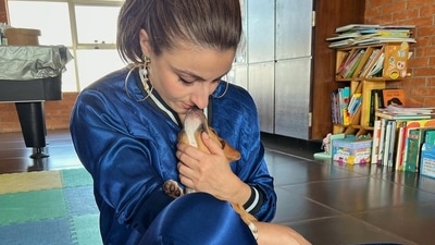 Soha Ali Khan merges edginess with class in cobalt co-ord tracksuit (Instagram/sakpataudi) Soha Ali Khan merges edginess with class in cobalt co-ord tracksuit (Instagram/sakpataudi)