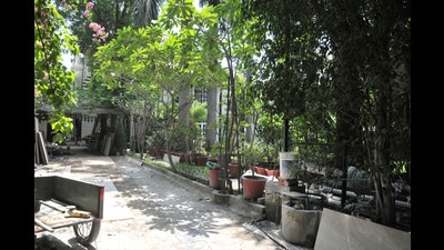 As per the report released by the Union ministry of environment, forest and climate change, there is an 85 hectares jump in the green cover of Chandigarh since 2019. (HT File) As per the report released by the Union ministry of environment, forest and climate change, there is an 85 hectares jump in the green cover of Chandigarh since 2019. (HT File)