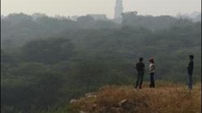 Delhi now has 147sqkm of its total area under tree cover, an increase of 13.9% from 129sqkm in 2019. (Picture for representation only/HT) Delhi now has 147sqkm of its total area under tree cover, an increase of 13.9% from 129sqkm in 2019. (Picture for representation only/HT)