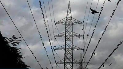 The Pune division of Maharashtra State Electricity Distribution Company Limited (MSEDCL) ordered a major crackdown against the power thefts. (HT PHOTO)