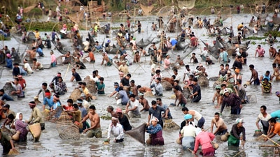 Villagers take part in a community fishing event during Bhogali Bihu celebrations at Goroimari Lake in Panbari, which is located around 50 kms from Guwahati. (PTI) Villagers take part in a community fishing event during Bhogali Bihu celebrations at Goroimari Lake in Panbari, which is located around 50 kms from Guwahati. (PTI)