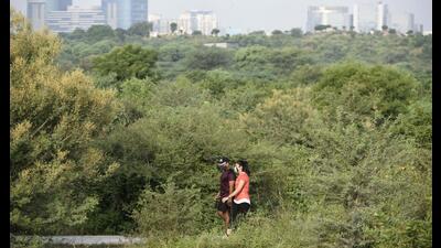 Forest department officials said that the loss of forest cover in Gurugram can primarily be attributed to the different development projects that have been undertaken impacting the forest areas. (HT archive)