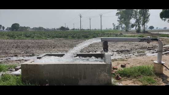 Jaswinder Pal Singh Grewal, joint director, agriculture (inputs), Punjab said the state is facing groundwater depletion. Farmers need to adopt crop diversification to save water. Environment activist Balbir Singh Seechewal said water and air should be key issues in the state assembly and Parliament elections. (HT Photo)