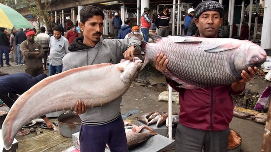 Assam Chief Minister Himanta Biswa Sarma on Tuesday received a 10 kg fish as a gift from representatives of a fish traders' body of Uzan Bazar, Guwahati ahead of Magh Bihu.(ANI)