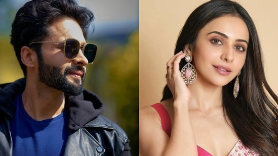 Rakul Preet Singh and Jackky Bhagnani made their relationship public in October.