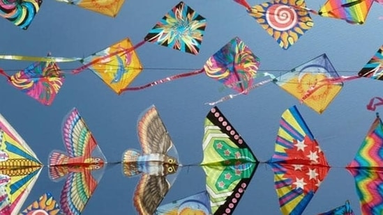 People in several states celebrate the festival by flying kites.