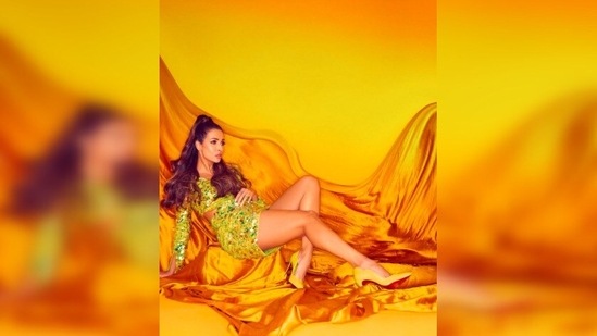 imgonline com ua FrameBlurred iXImTTyzQF7 1642076656274 1642076690183 With her hair tied up in a high sleek ponytail, Malaika Arora looked like a diva in the outfit.(Instagram/@manekaharisinghani)