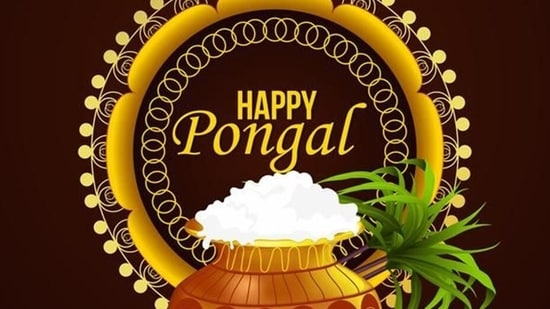 Pongal will be celebrated with great enthusiasm from January 14-17 this year.(Pinterest)