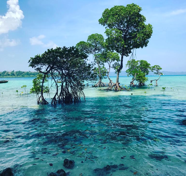 A once-in-a-lifetime trip