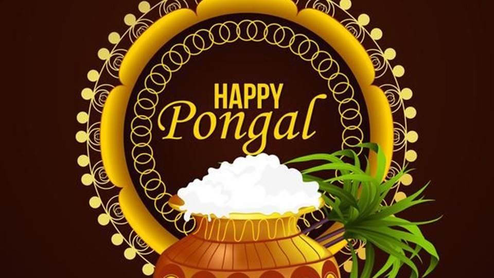 Pongal will be celebrated with great enthusiasm from January 14-17 this year. (Pinterest) Pongal will be celebrated with great enthusiasm from January 14-17 this year. (Pinterest)
