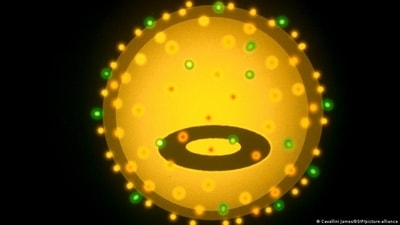 US researchers see a link between Epstein-Barr-Virus infections, which causes glandular fever, and multiple sclerosis (Cavallini James/BSIP/picture-alliance) US researchers see a link between Epstein-Barr-Virus infections, which causes glandular fever, and multiple sclerosis (Cavallini James/BSIP/picture-alliance)
