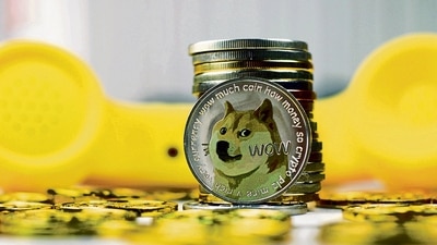 Many feel the fate of Dogecoin will rise or sink with the fortunes of Tesla CEO Elon Musk. (MINT_PRINT)