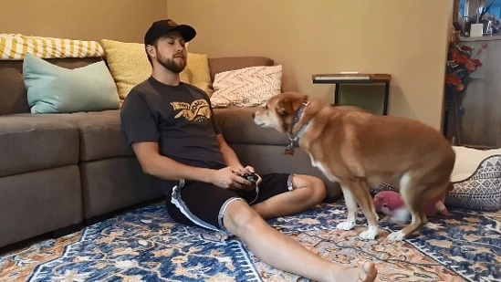 The image, taken from a Reddit video, shows the dog standing in front of the man.(Reddit/@iamtheliquor_)