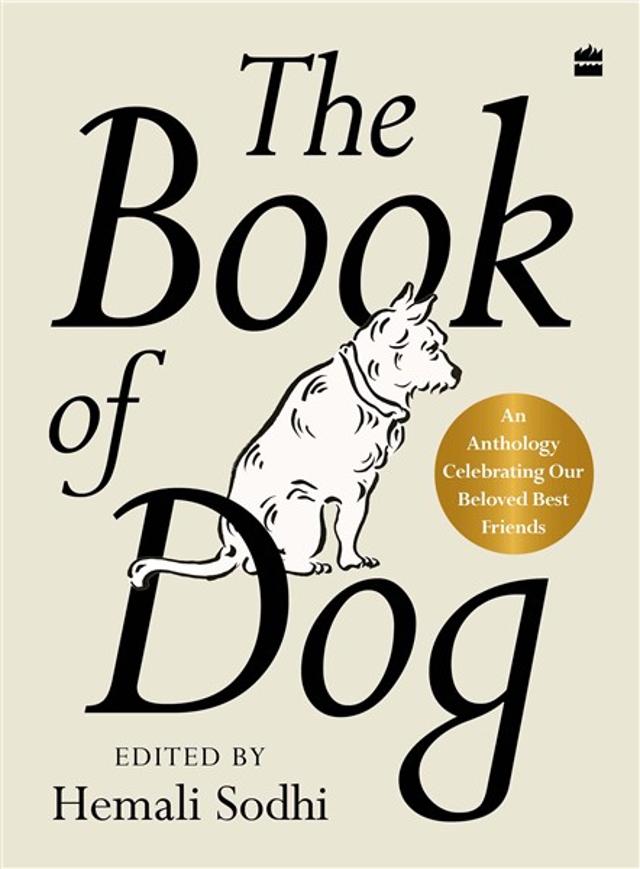 311pp,  ₹699; HarperCollins