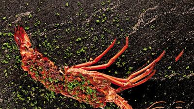 Saurabh Udinia’s Lobster Manchurian has a basic Manchurian gravy using Indian flavours with soya sauce Saurabh Udinia’s Lobster Manchurian has a basic Manchurian gravy using Indian flavours with soya sauce