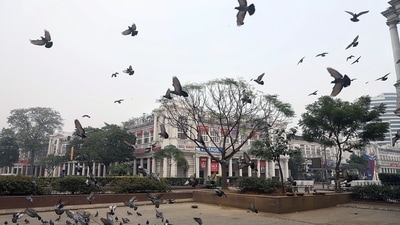 A flock of pigeons flying over the deserted Connaught place during a weekend curfew imposed by the capital, in the view of Omicron-driven Covid-19 cases in Delhi. (ANI) A flock of pigeons flying over the deserted Connaught place during a weekend curfew imposed by the capital, in the view of Omicron-driven Covid-19 cases in Delhi. (ANI)