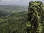 森林は最大の陸域炭素貯留層ですが、破壊されるとCO2やその他の温室効果ガスの発生源になります。 （AFP）