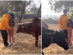 Akshay Kumar and Nitara at Ranthambore National Park. Akshay Kumar and Nitara at Ranthambore National Park.