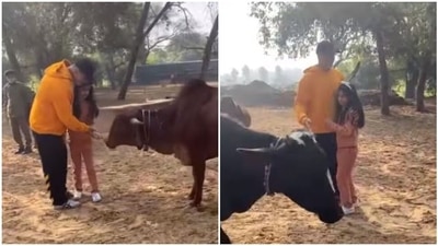 Akshay Kumar and Nitara at Ranthambore National Park. Akshay Kumar and Nitara at Ranthambore National Park.
