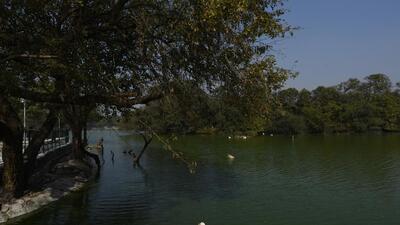 Hauz Khas is among the 10 water bodies identified in the first phase. (Biplov Bhuyan/HT PHOTO) Hauz Khas is among the 10 water bodies identified in the first phase. (Biplov Bhuyan/HT PHOTO)