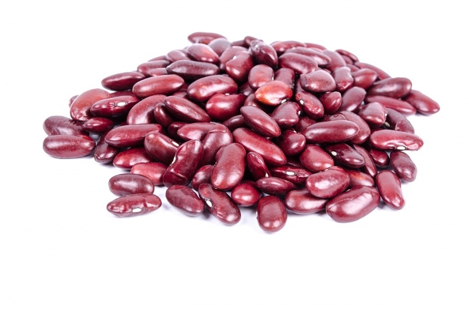 can bulldogs eat red kidney beans