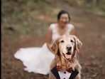 The bride waiting to get her first look with her adorable pet doggo named Gumbo. (instagram/@mycaninelife) The bride waiting to get her first look with her adorable pet doggo named Gumbo. (instagram/@mycaninelife)