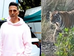 Akshay Kumar posts a video of a tiger.