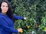Preity Zinta shows off the oranges in her kitchen garden. Preity Zinta shows off the oranges in her kitchen garden.
