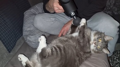 The catto looking at the camera while getting its paw massaged by a massage gun. (Jukin Media) The catto looking at the camera while getting its paw massaged by a massage gun. (Jukin Media)
