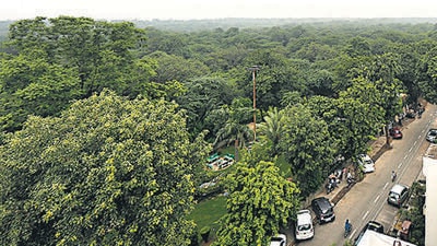 While Delhi lost 0.44 sq km of forest cover, it gained 18 sq km of tree cover in the last two years, according to the report. (HT Archive) While Delhi lost 0.44 sq km of forest cover, it gained 18 sq km of tree cover in the last two years, according to the report. (HT Archive)